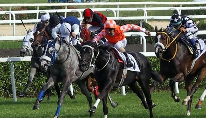 98. Gazi Koşusu'nun kazananı belli oldu!  Birinci gelen safkan sahibini zengin etti... İşte Diğer Sporların Kazandığı Ödül.