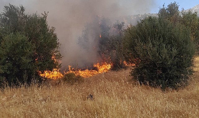 İzmir itfaiye ekipleri alarma geçti - GÜNDEM
