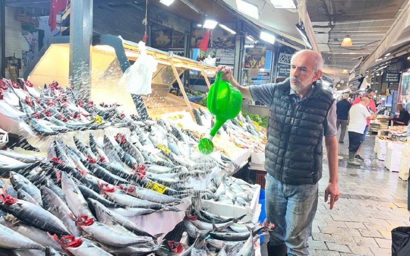 Ege Denizi'nde bolluk: Palamut ustalaştı, tanesi 100 liradan satılıyor